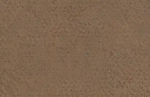 Эггер Древпродукт - Кобра бронза F323 ST20 2800*2070 16 мм ЭГ
